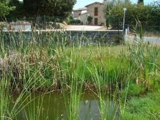Chácara Antica Fonte Residenza Di